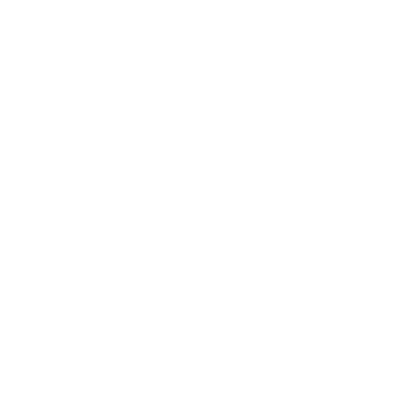 Charles Bridge Partners lion mark